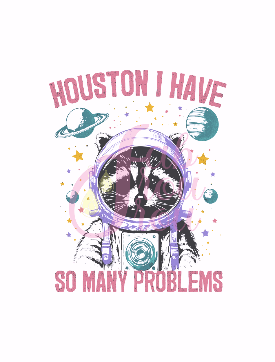 Houston Problems Raccoon Magnet