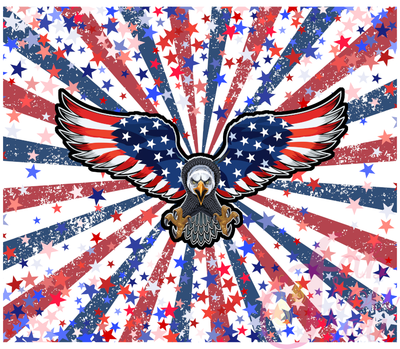 20 oz Patriotic Burst Eagle