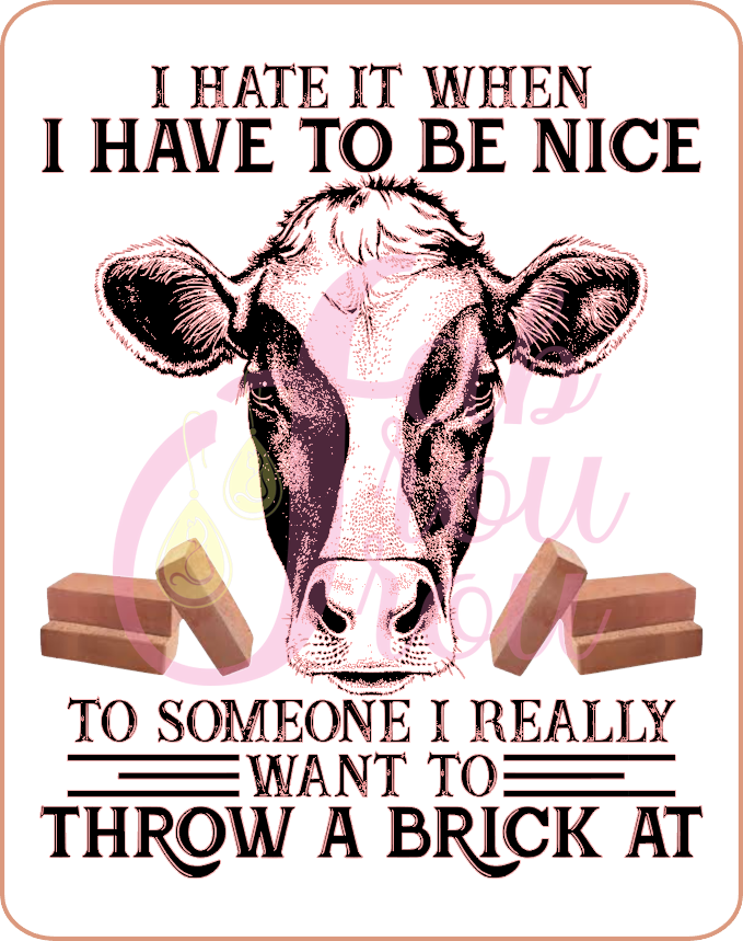 I Hate It When I Have To Be Nice Magnet