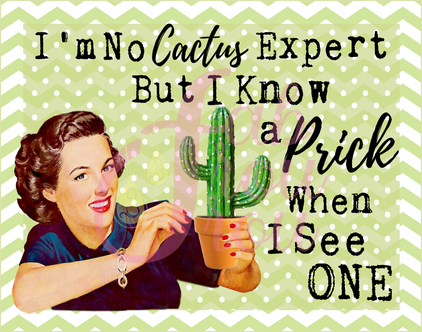 Prick When I See One Magnet