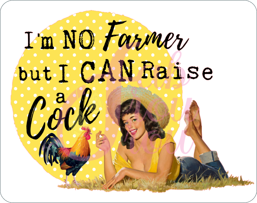 I'm No Farmer But I Can Raise a Cock Magnet