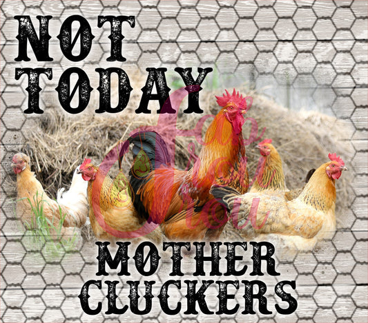 Chicken Not Today Cluckers 1