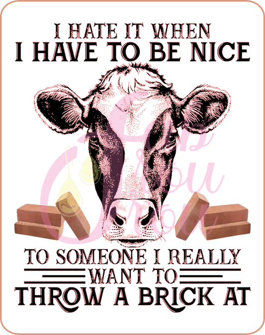 I Hate It When I Have To Be Nice Magnet