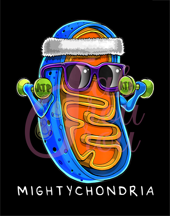 Mightychondria Magnet